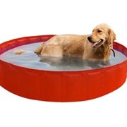Best Swimming Pool for Garden New Plast 0102 My Dog Pool Pool For Dogs, Orange  